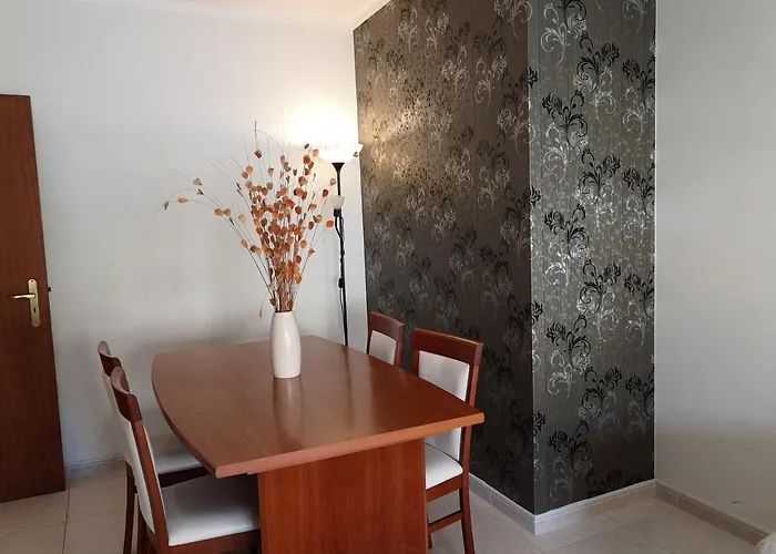 公寓 Pro Touristic Surf &